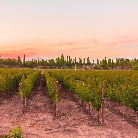 Marale Wines Hotel Boutique Villa Media Agua Bagian luar foto
