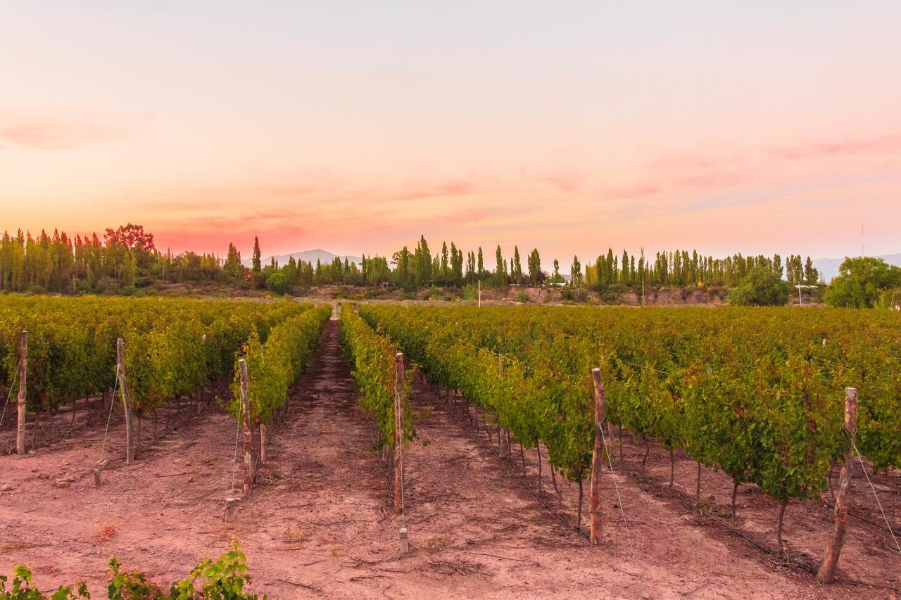 Marale Wines Hotel Boutique Villa Media Agua Bagian luar foto
