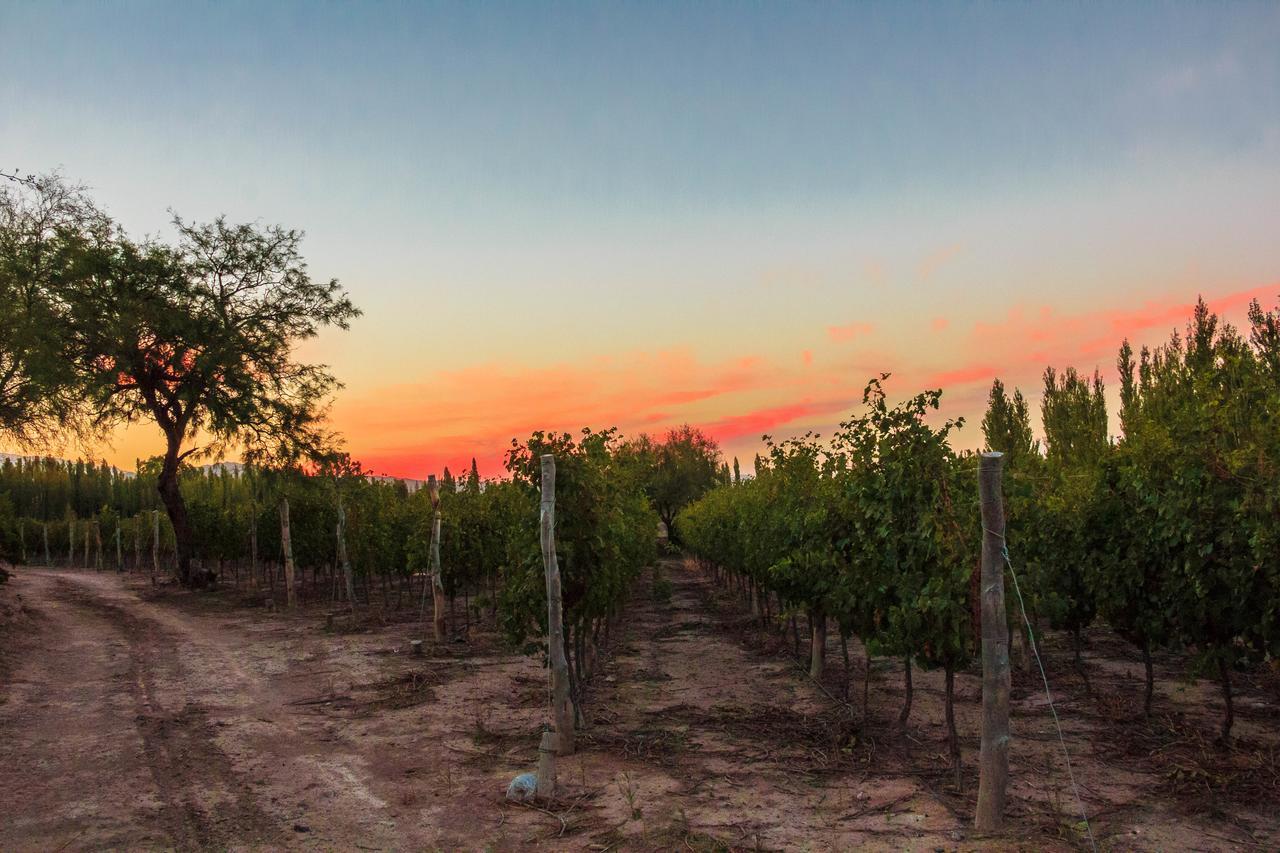 Marale Wines Hotel Boutique Villa Media Agua Bagian luar foto