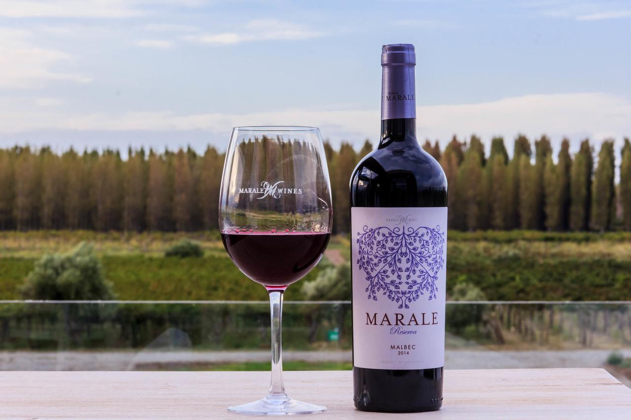 Marale Wines Hotel Boutique Villa Media Agua Bagian luar foto
