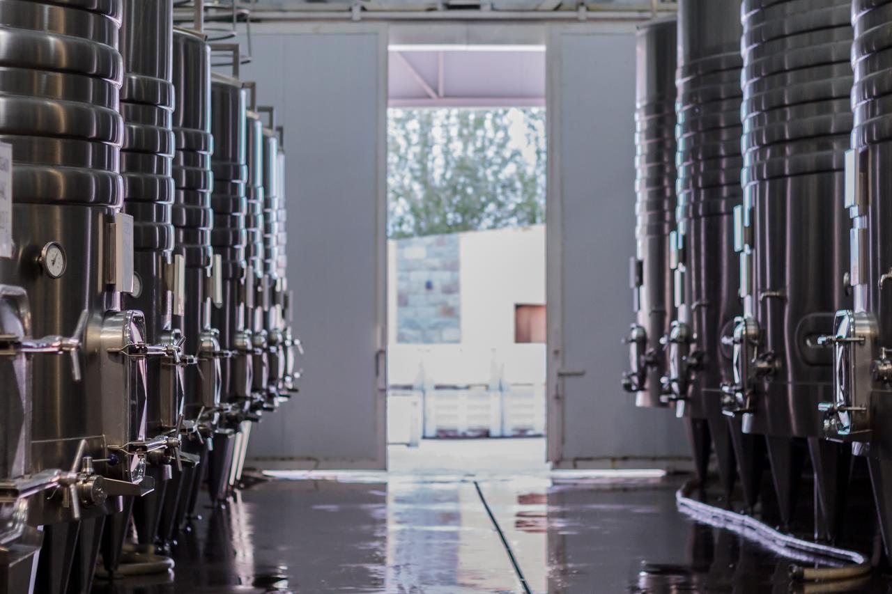 Marale Wines Hotel Boutique Villa Media Agua Bagian luar foto